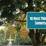 10 Best Things to Do in Somerset (MA)