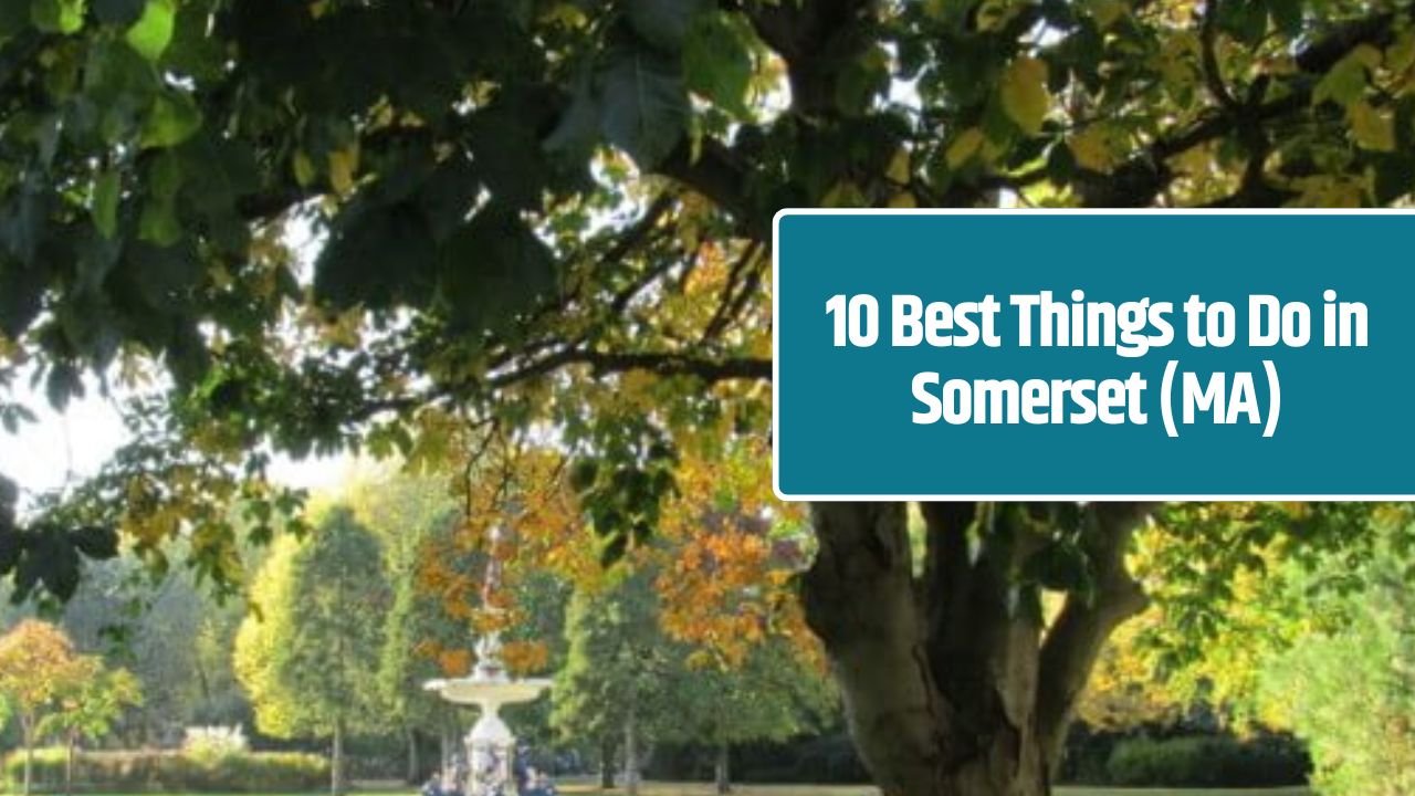 10 Best Things to Do in Somerset (MA)