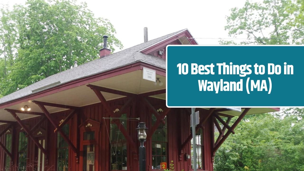 10 Best Things to Do in Wayland (MA)