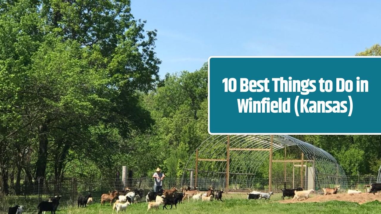 10 Best Things to Do in Haysville (Kansas)